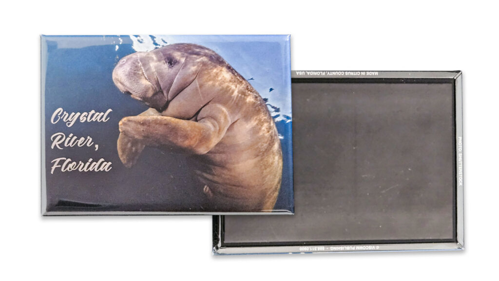 Crystal River, Florida manatee photo magnet